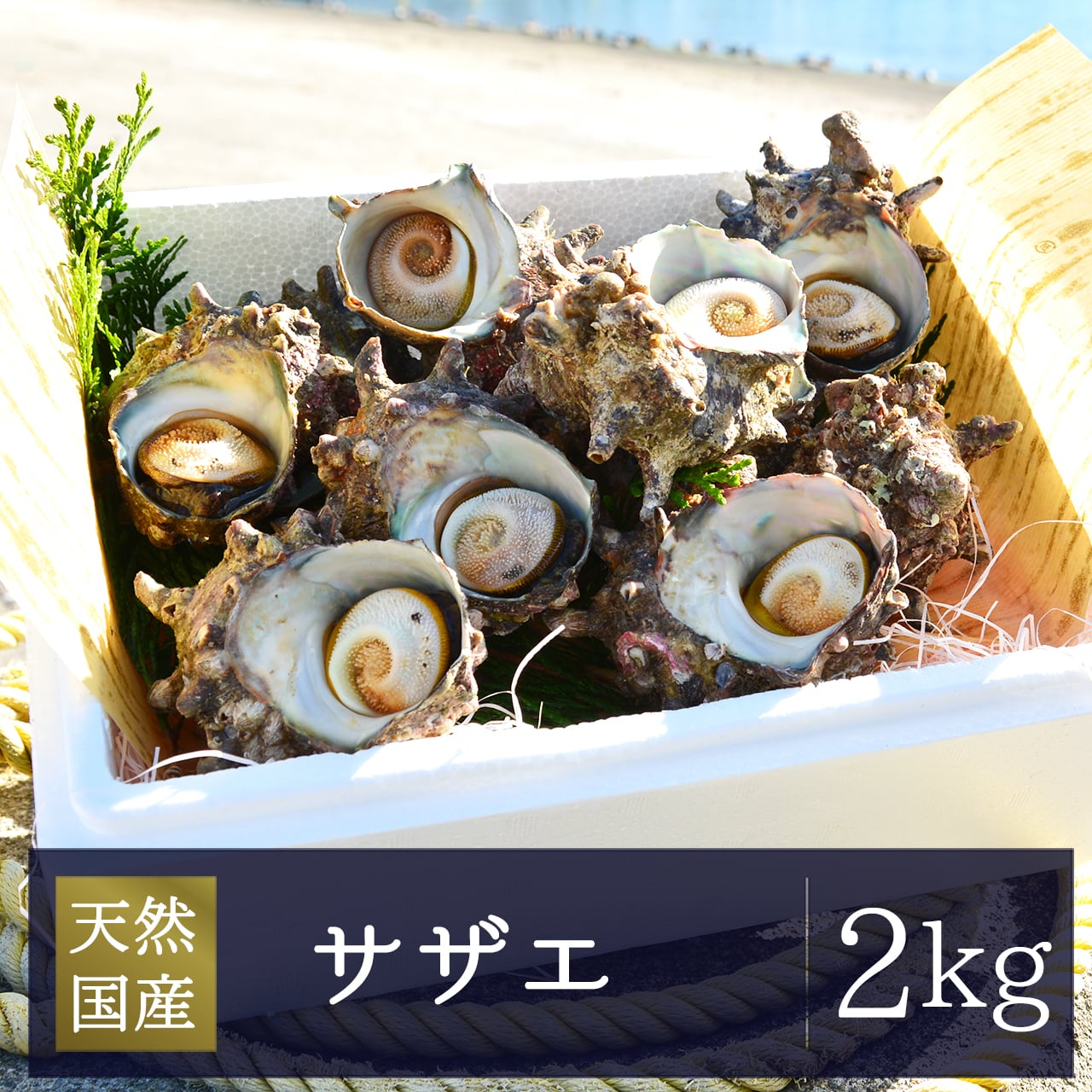 シェフの貝どころ