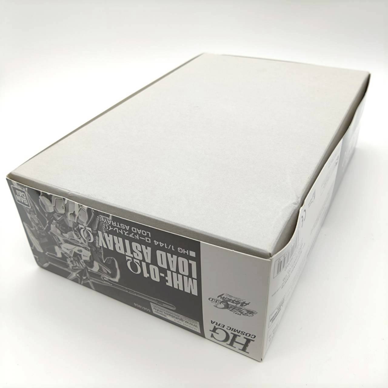 HG 1/144 ロードアストレイΩ