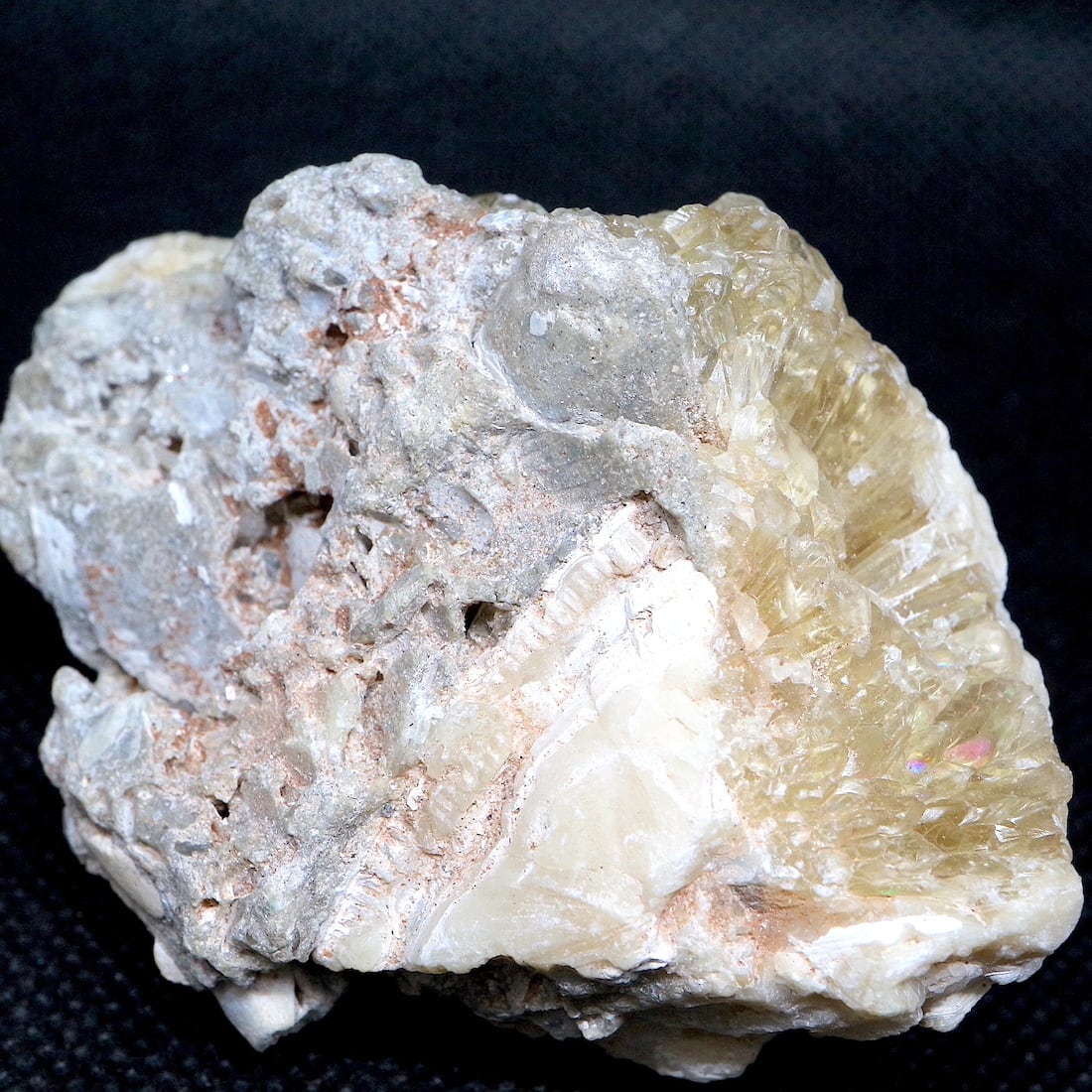 フロリダ州産 貝化石 カルサイト 方解石 原石 99,7g CAL019 鉱物