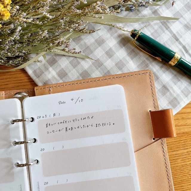 バイブルサイズ/5年日記リフィル