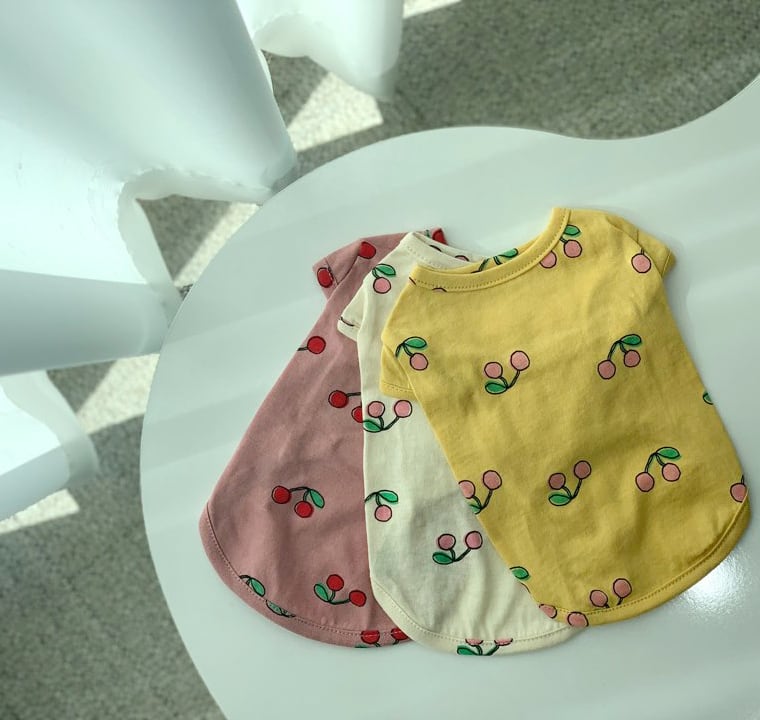 【SALE】cherry cherry t-shirt XS ~ XL 3color / 犬服 春夏 新作 ドッグウェア シンプル 犬 服 トップス 小型犬 中型犬 ワンコ服 top108