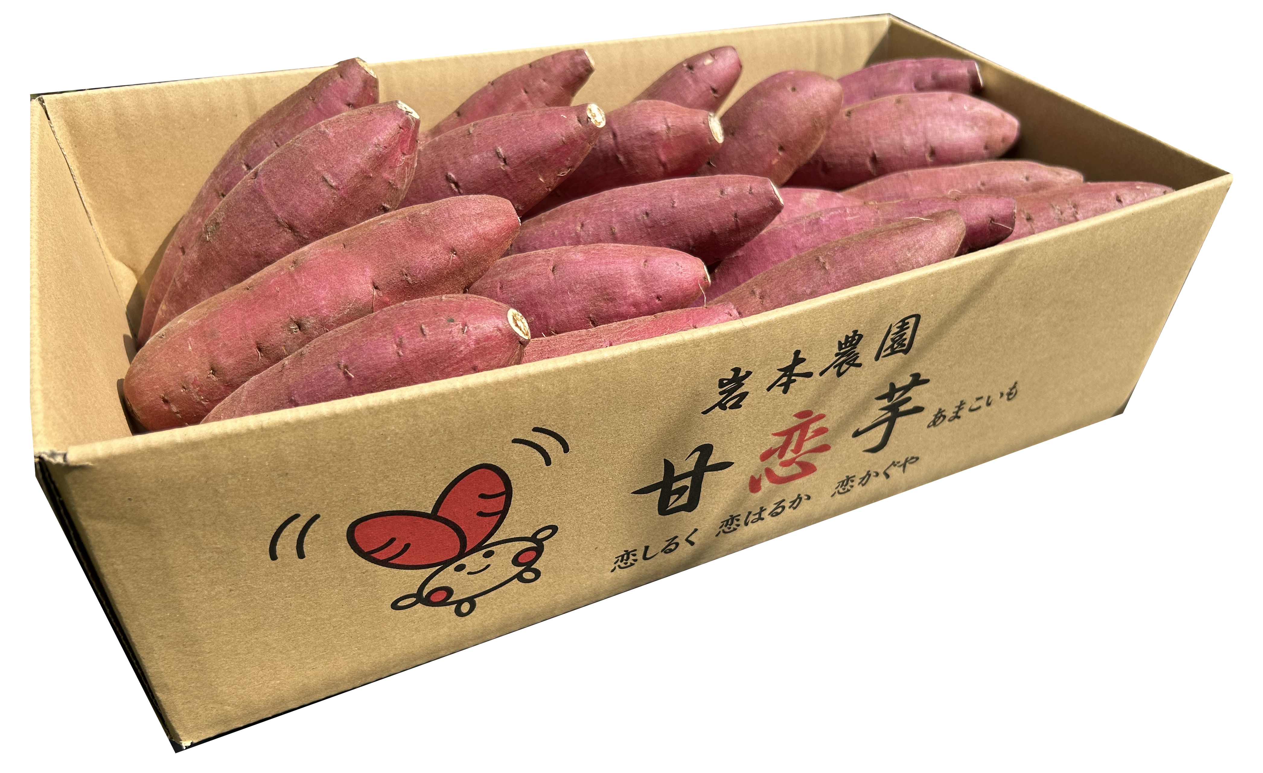 ⑦ 岩本農園：恋シルク 2Kg（コロコロ） 熊本県内送料無料 | クマハン