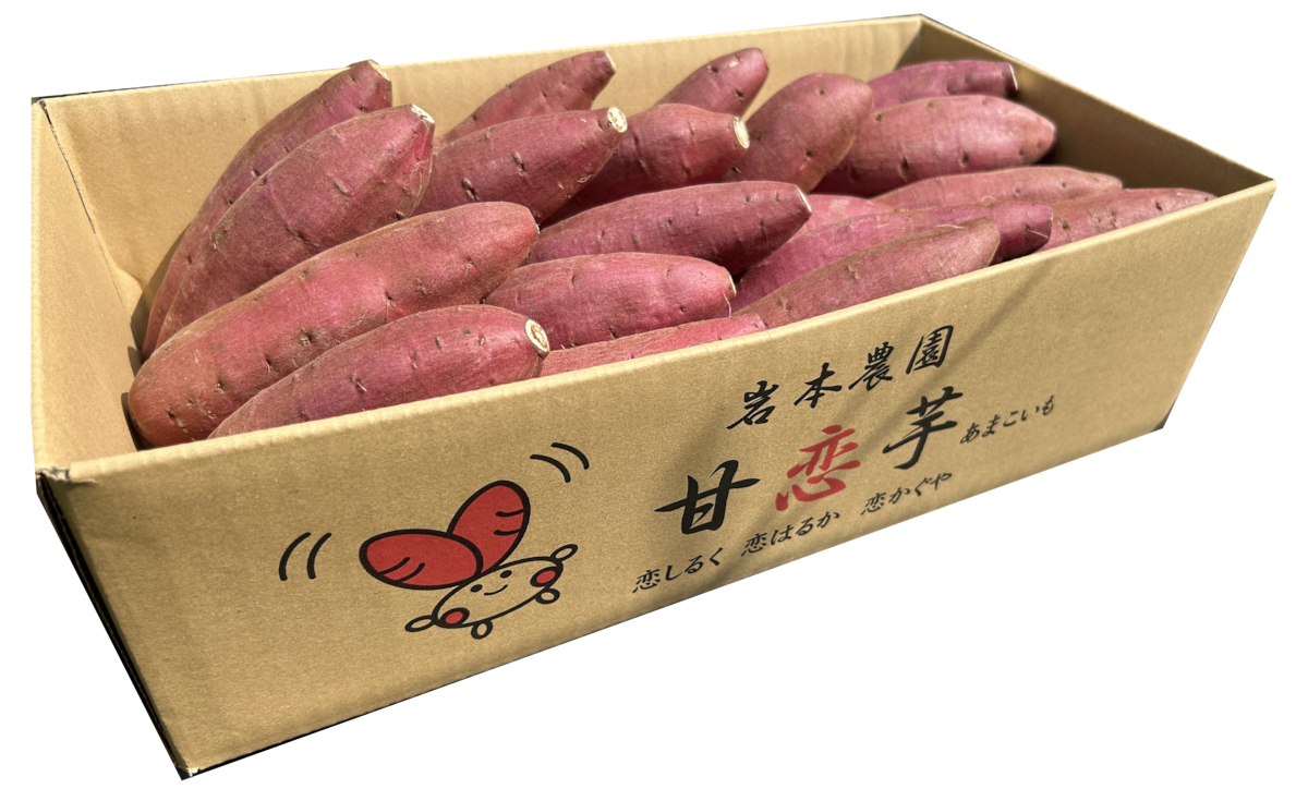 ⑦ 岩本農園：恋シルク 2Kg（コロコロ） 熊本県内送料無料 | クマハン