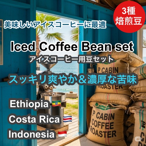 Iced Coffee Beans set（アイスコーヒー豆セット）（各100g 合計300g） 【受注焙煎・自家焙煎コーヒー豆】【フルーティー＆ビターコーヒー】