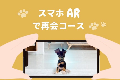サービスA：スマホARで再会コース