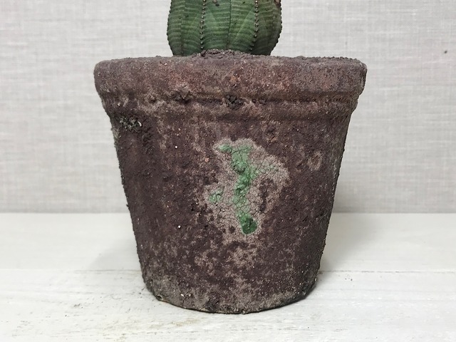 ユーフォルビア オベサ