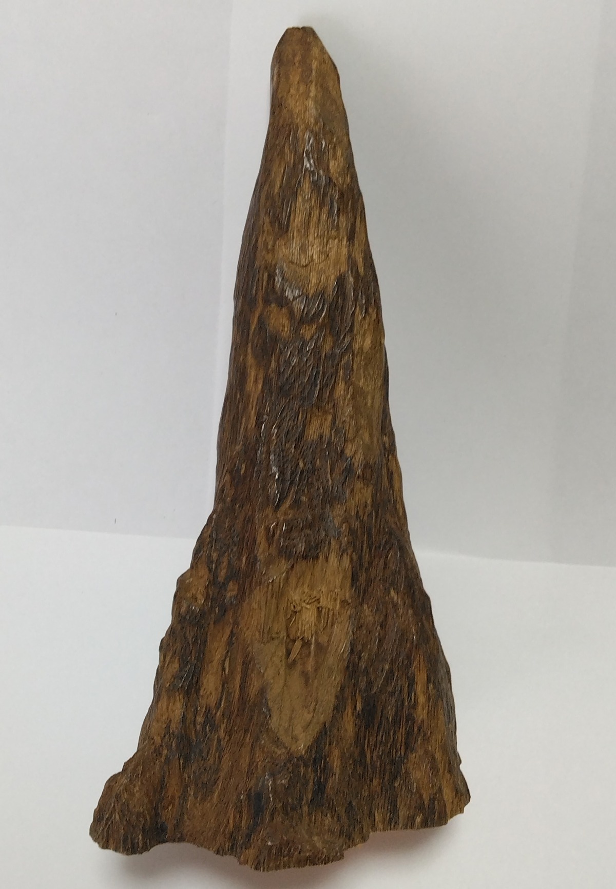 天然沈香樹香木「黄熟香沈香」原木225.4g 考え直す 六國五味沈香伽羅 