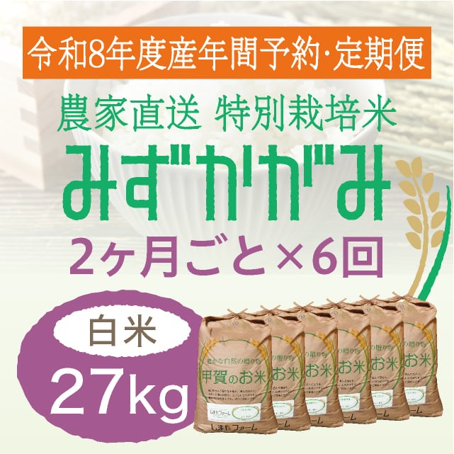 年間予約・定期便〉きぬむすめ 農家直売・特別栽培米 滋賀県産・近江米
