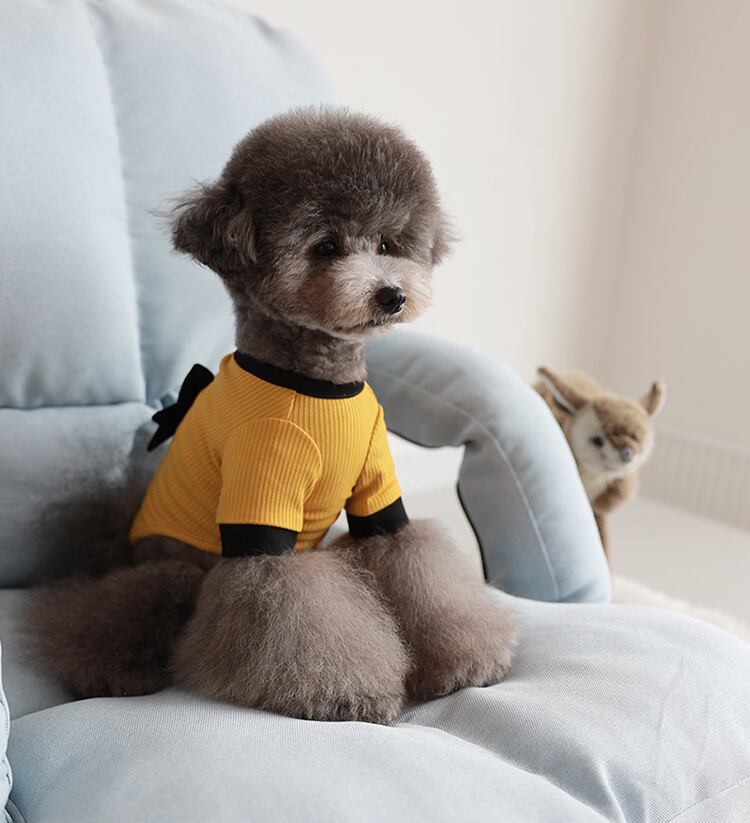 Onz Ribbon Knit T-shirt S ~ XL 4color / 犬服 新作 ニット 可愛い 犬の服 Tシャツ リボン トップス お揃い ドッグウェア b54