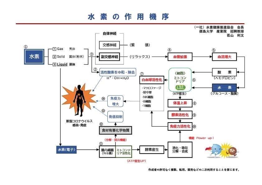 神様の水素 2個セット 神様の水素｜商品案内｜水素関連サプリメントなら感謝株式会社へ。皆様