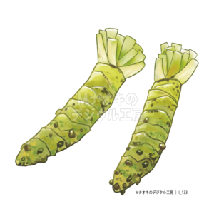 ワサビ　Wasabi