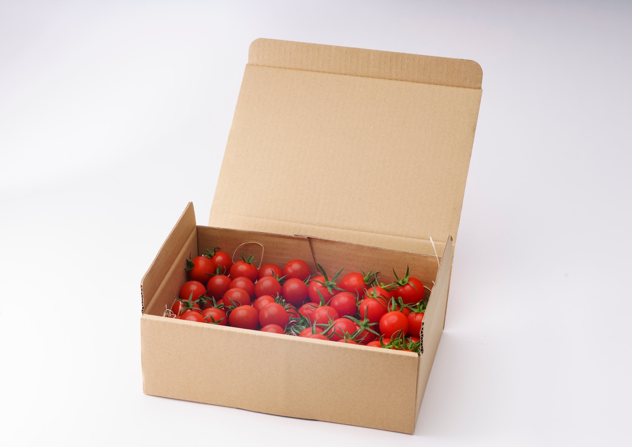 ほおばるトマトmix1kg