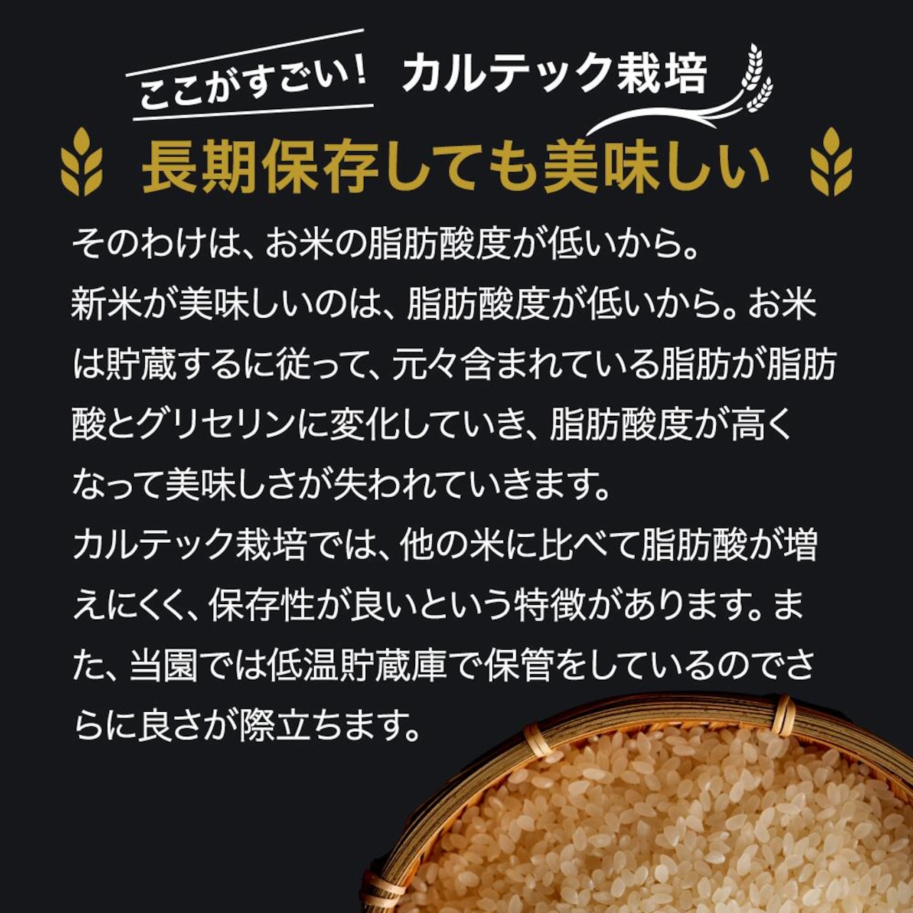 ※業販価格※丹波産コシヒカリ 25kg 令和7年産 京都のおいしいお米コンテスト受賞米「西村ファームの京ほたる米」