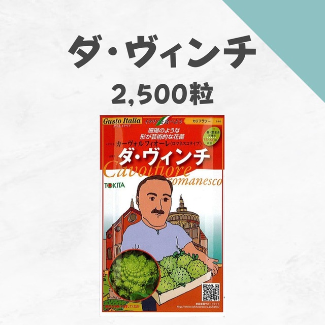 ダ・ヴィンチ　ロマネスコ種子・2,500粒