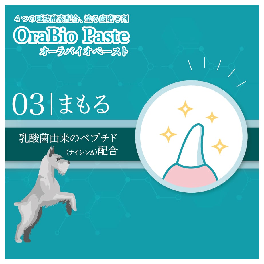 オーラバイオペースト（4種の唾液酵素&乳酸菌培養エキス配合）歯磨剤