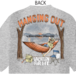 送料無料　USA  VFL  HANGING OUT TEE   Style 20332