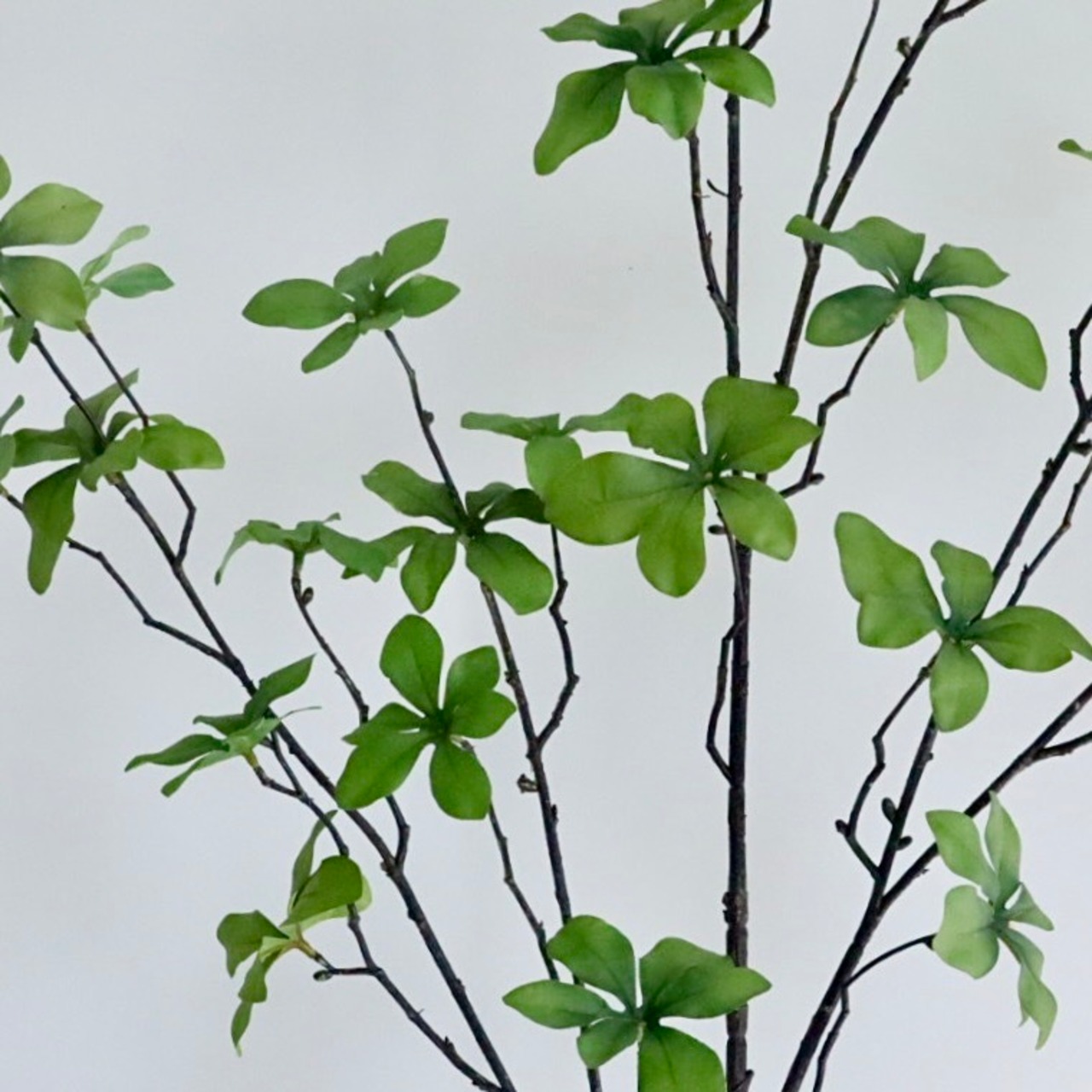 ドウダンツツジ フェイクグリーン H85cm 大型 観葉植物 人工観葉植物 コンクリートポット インテリアグリーン