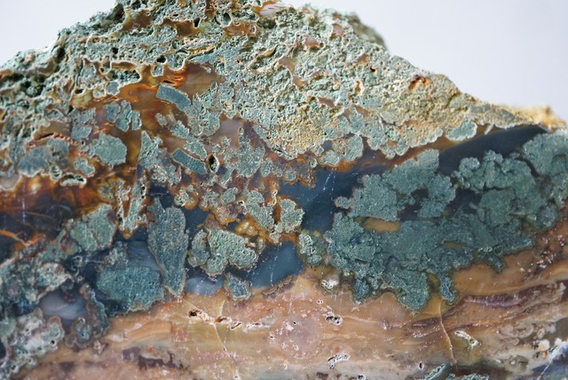 ブルーマウンテン・ジャスパー Blue Mountain Jasper 753