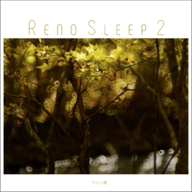 Reno Sleep 2