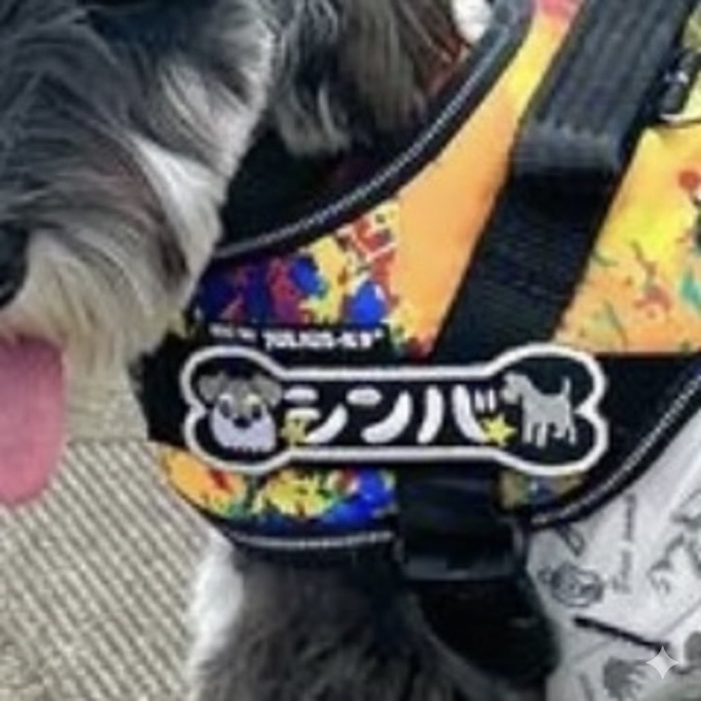 ユリウスK9対応 ネームタグ No.3骨形 安心のイメージ画像確認サービス