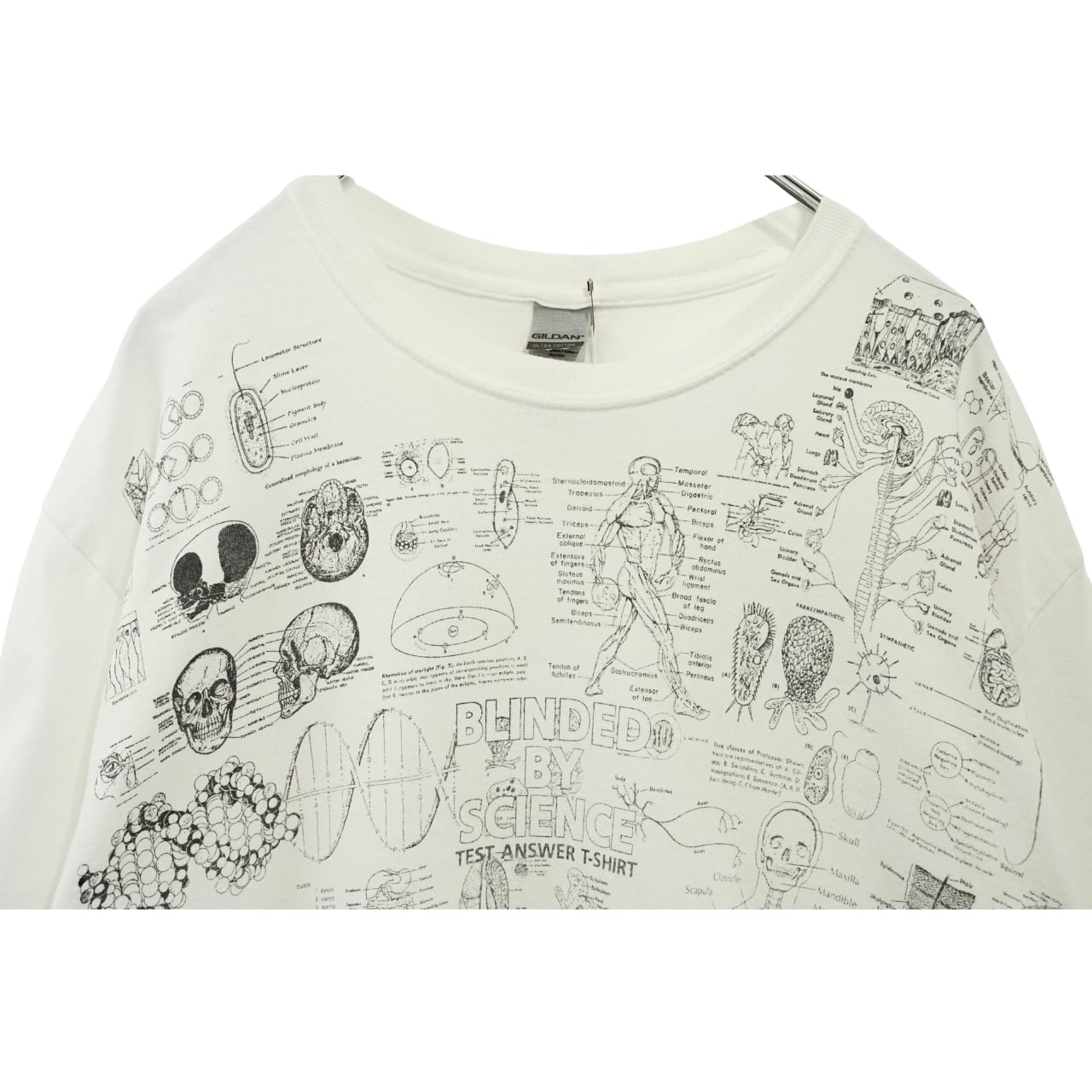 GILDAN BLINDED BY SCIENCE TEST ANSWER 総柄プリントTシャツ（Lサイズ