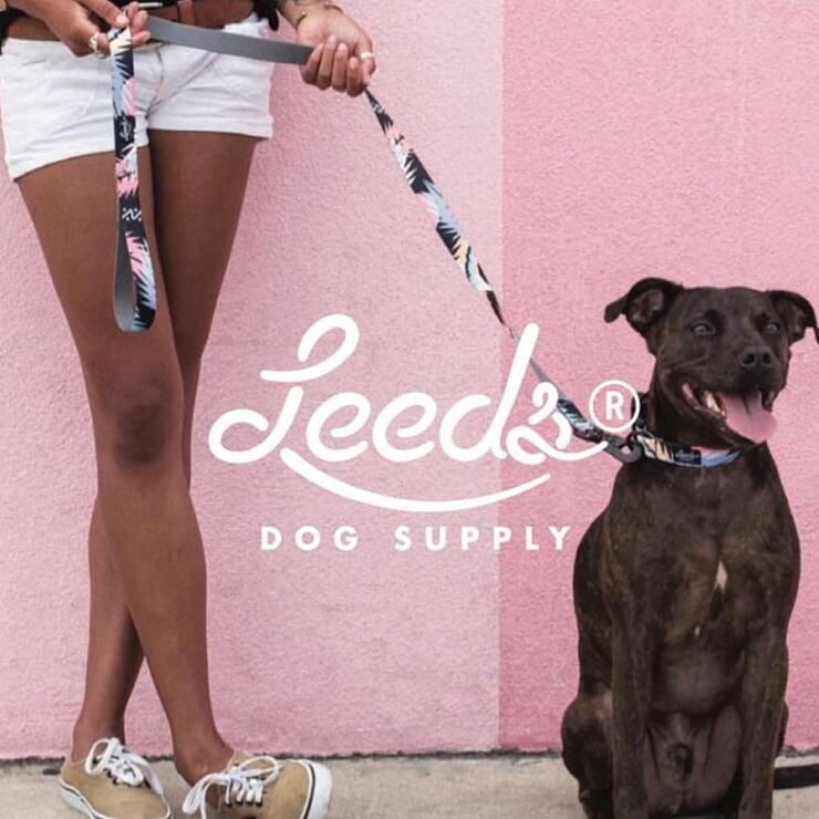 首輪 犬用 Leeds Dog Supply リーズドッグサプライ DOHENY COLLAR Mサイズ | LUG Lowrs powered by  BASE