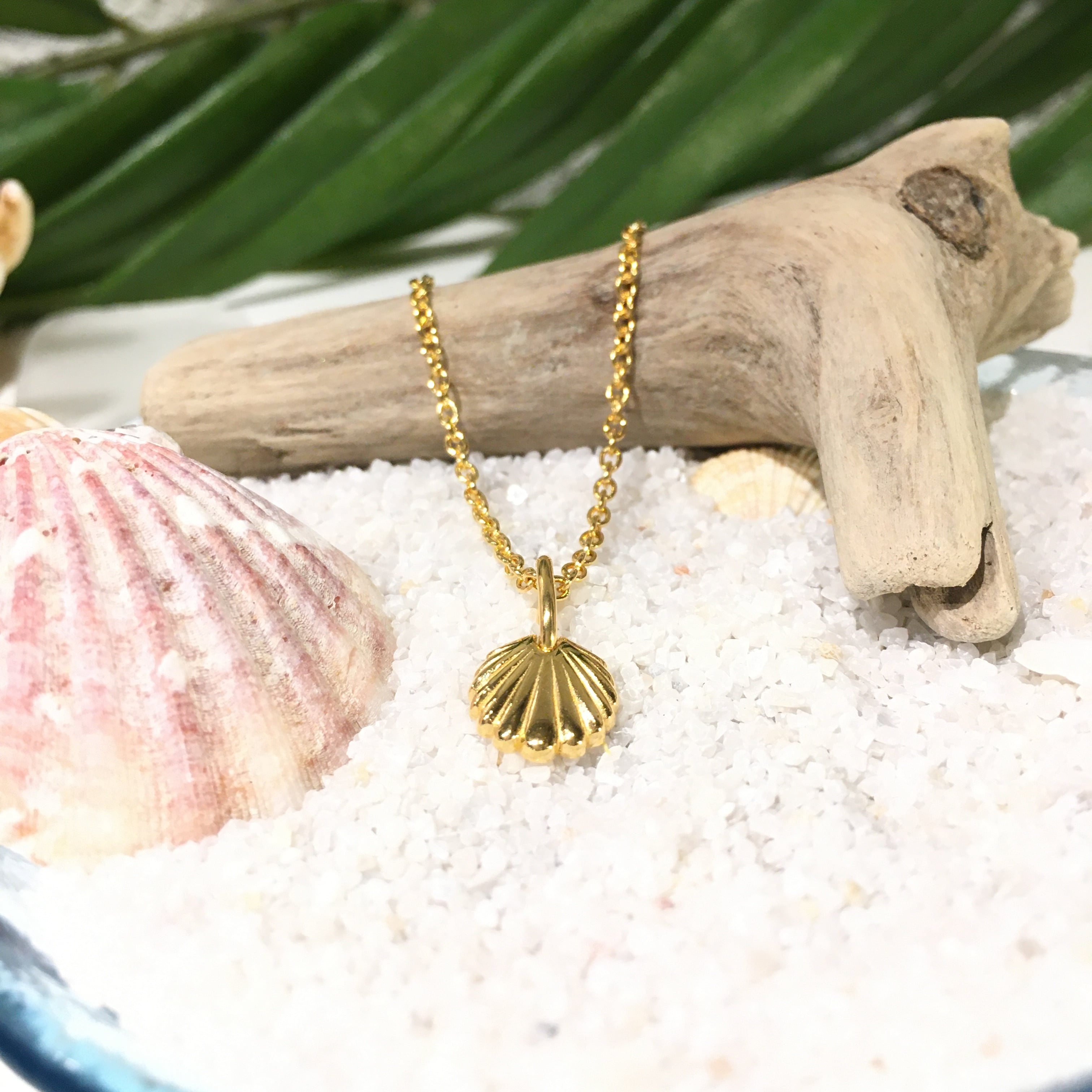 シェルのネックレス/GLD | ALOHA LOVERS