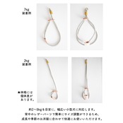 ルーフフィット ハーネス