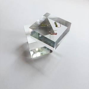 house / 2drops