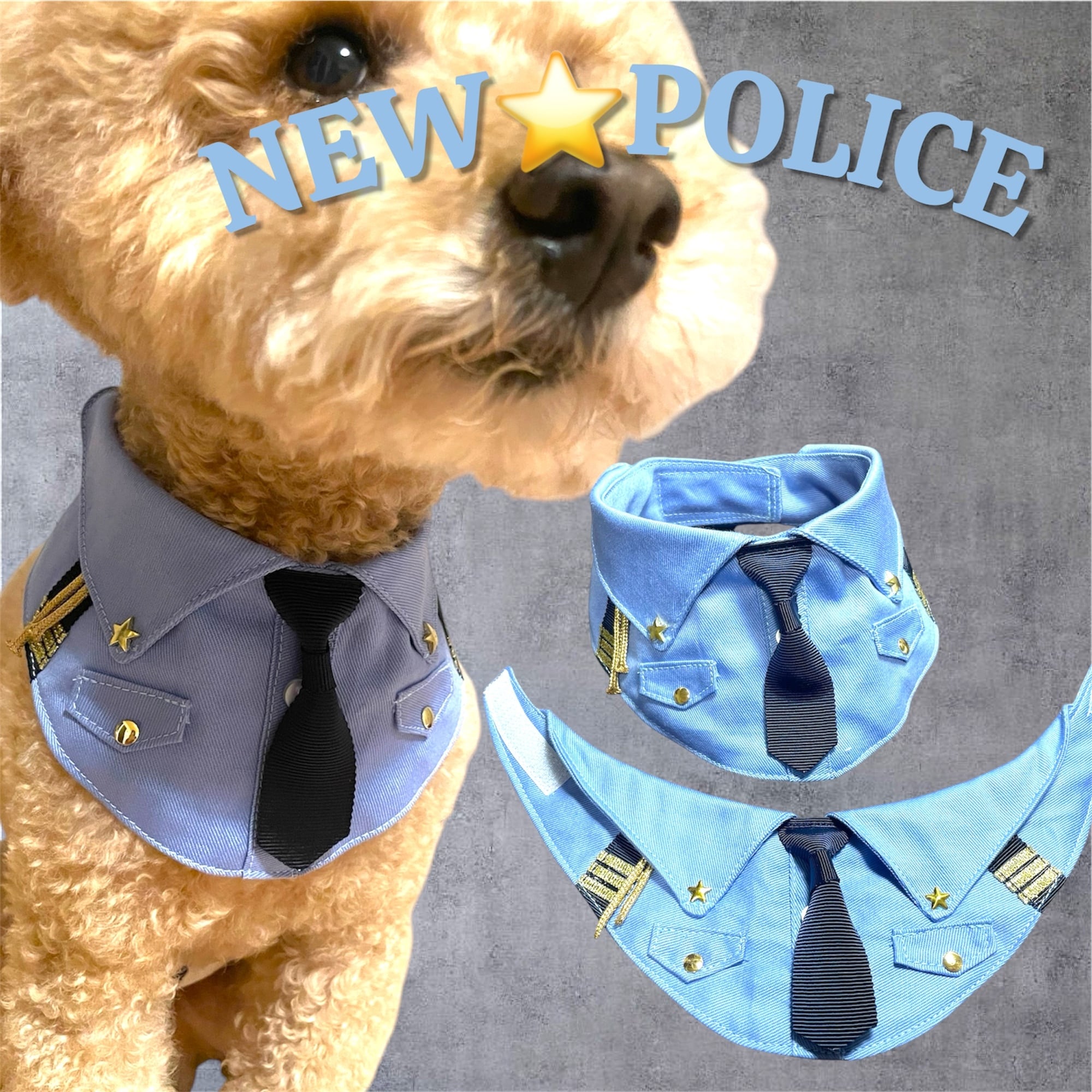 BLUE POLICE