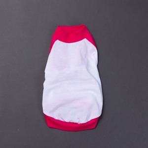 ラグランTシャツ　blue / イタグレ服