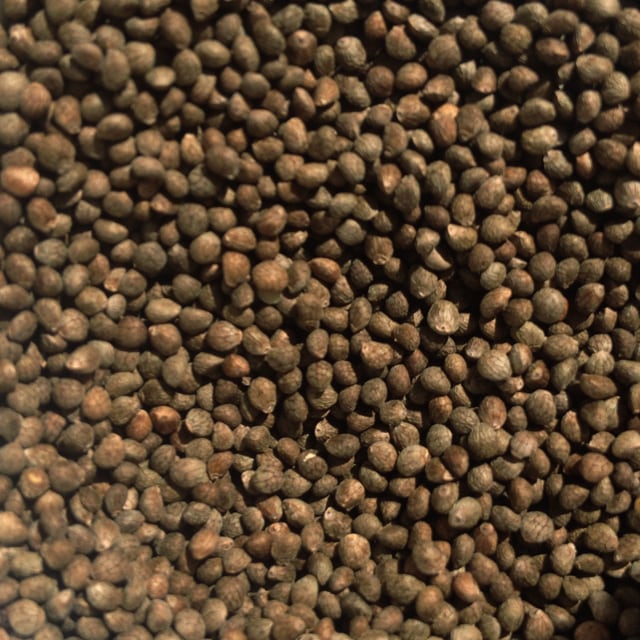 94320241ac22d5591b14babe318ed5