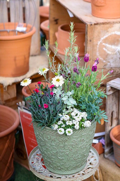 ALL ITEM | オニ通