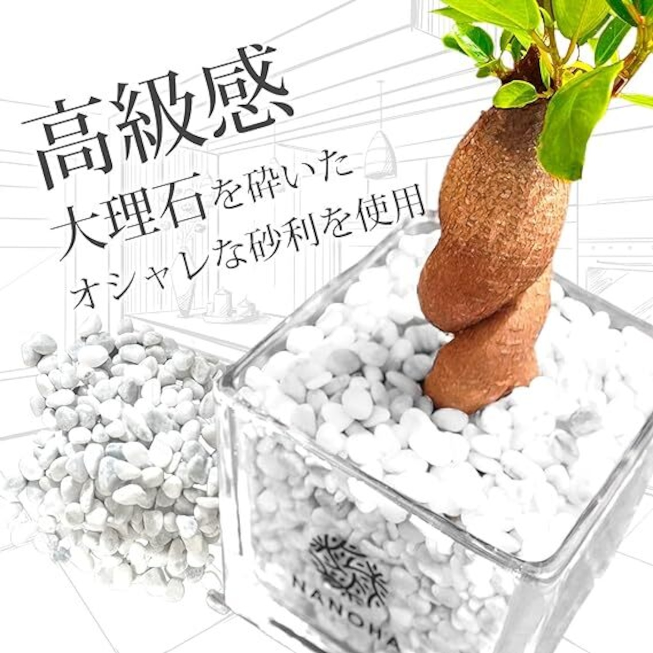 Gravel Plants ガジュマル大理石の砂利スクエアガラス