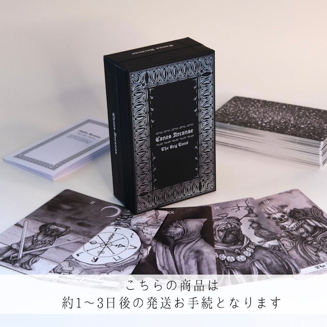 【1点のみ　約1〜3日以内の発送お手続き】FAELES ARCANAE THE DOG TAROT DECK ◆ 優しい犬の世界と炭。タロットカード