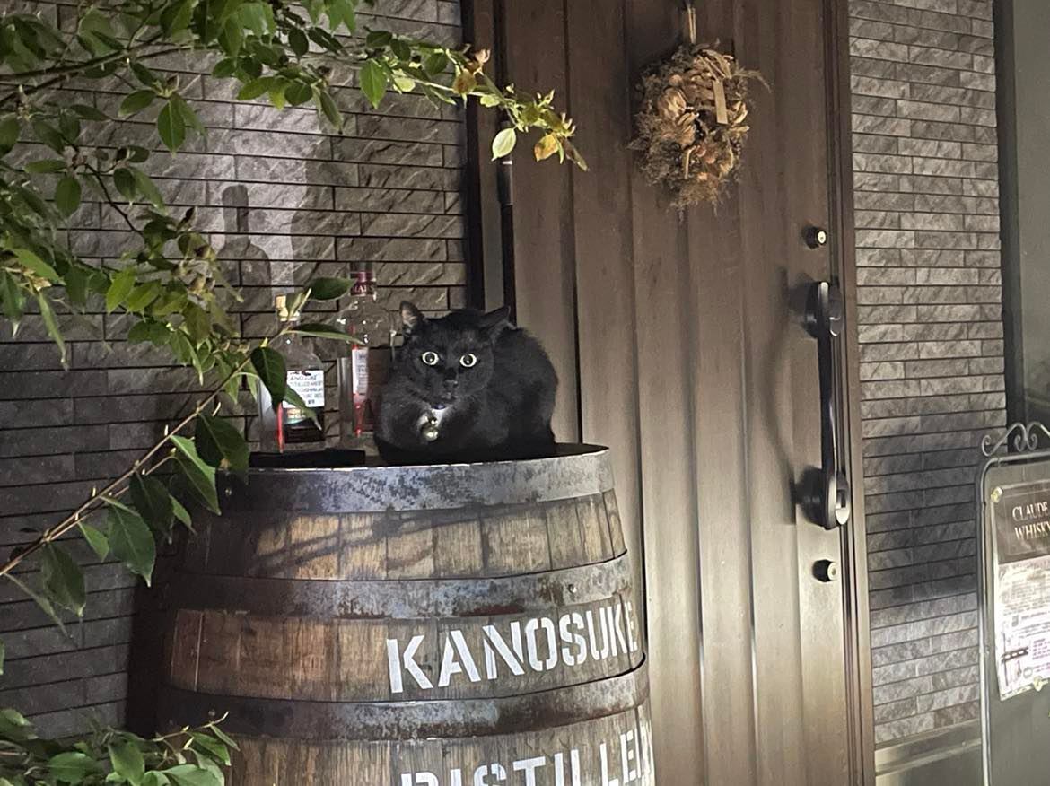 嘉之助 ニューボーン 500ml 57% for CLAUDE WHISKY ヘヴィリーピーテド