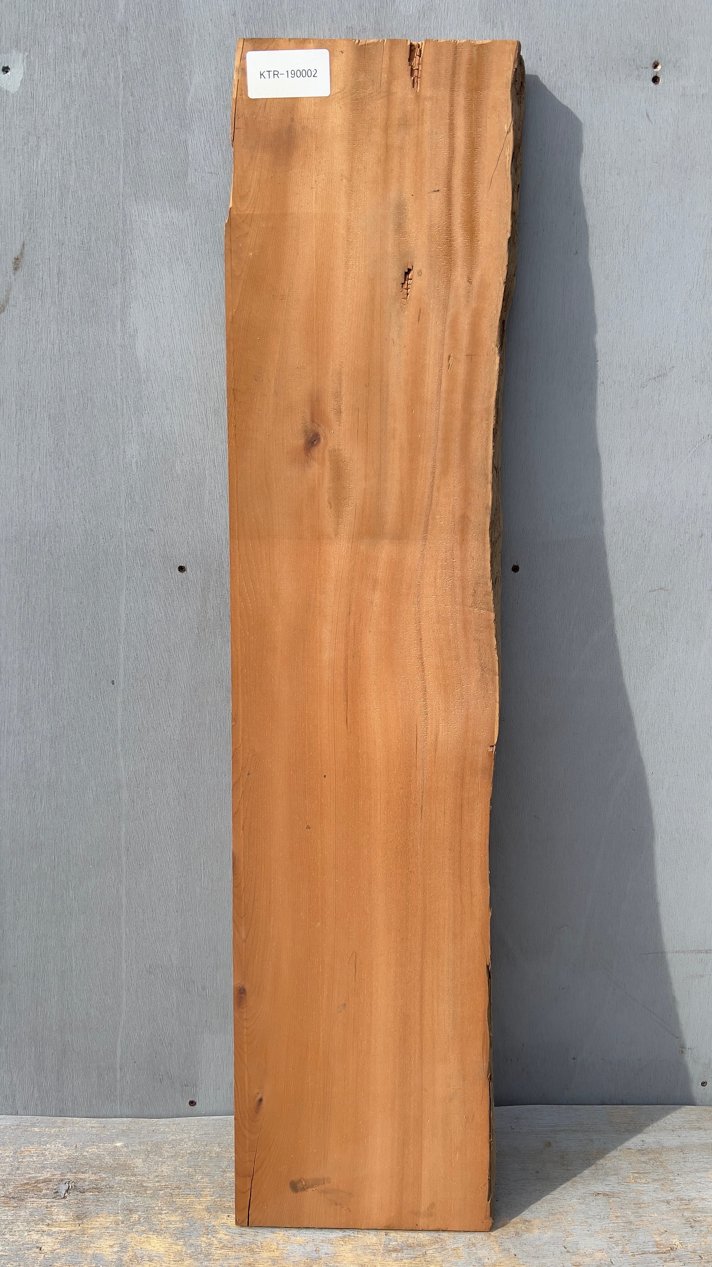 カツラ】桂の板材 | automnforest workshop