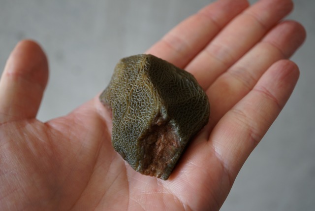 ゴビアゲート Gobi Agate 1095