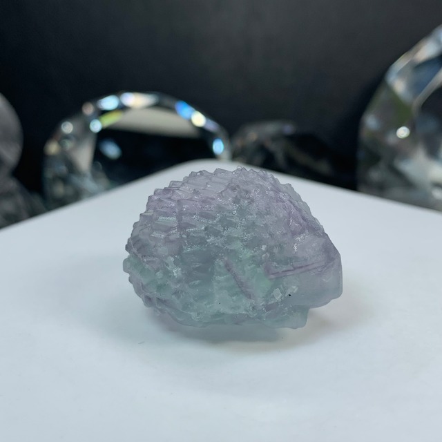 (訳)24.フローライトハリネズミさん