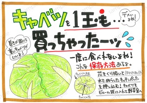 キャベツの保存方法