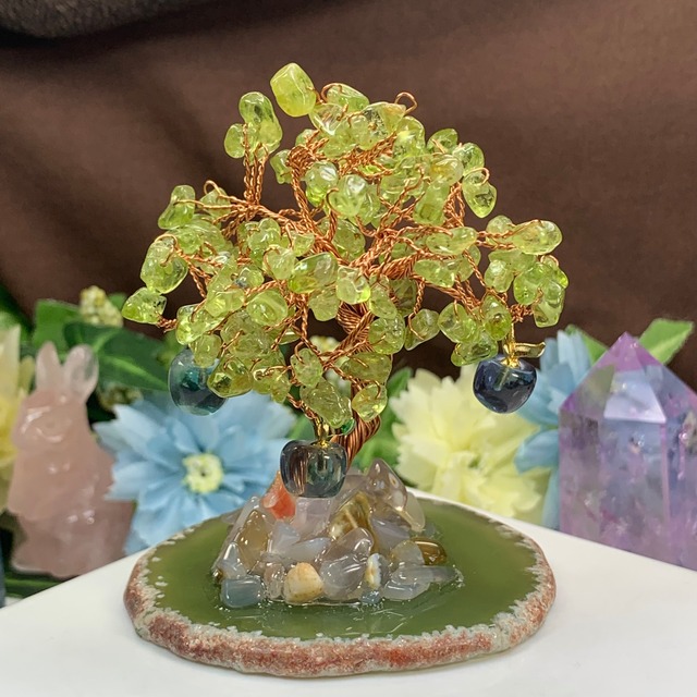 青いりんごがなる招財樹・ペリドット