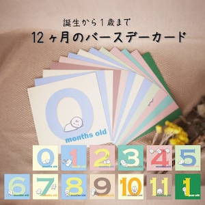 バースデーカードセット 誕生から1歳まで 13枚セット 出産準備 出産祝い 誕生日 赤ちゃん お祝い メッセージカード 男の子 女の子 おしゃれ 0歳 1歳 0ヶ月 2ヶ月 3ヶ月 4ヶ月 5ヶ月 6ヶ月 7ヶ月 8ヶ月 9ヶ月 10ヶ月 11ヶ月 12ヶ月