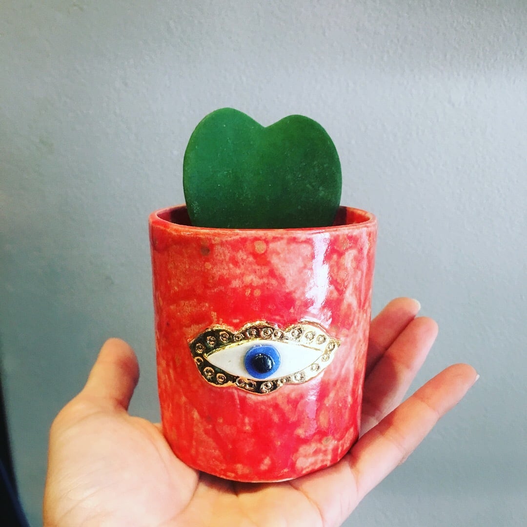 Koyomi Yanagimoto eye pot | ハルカゼフラワー