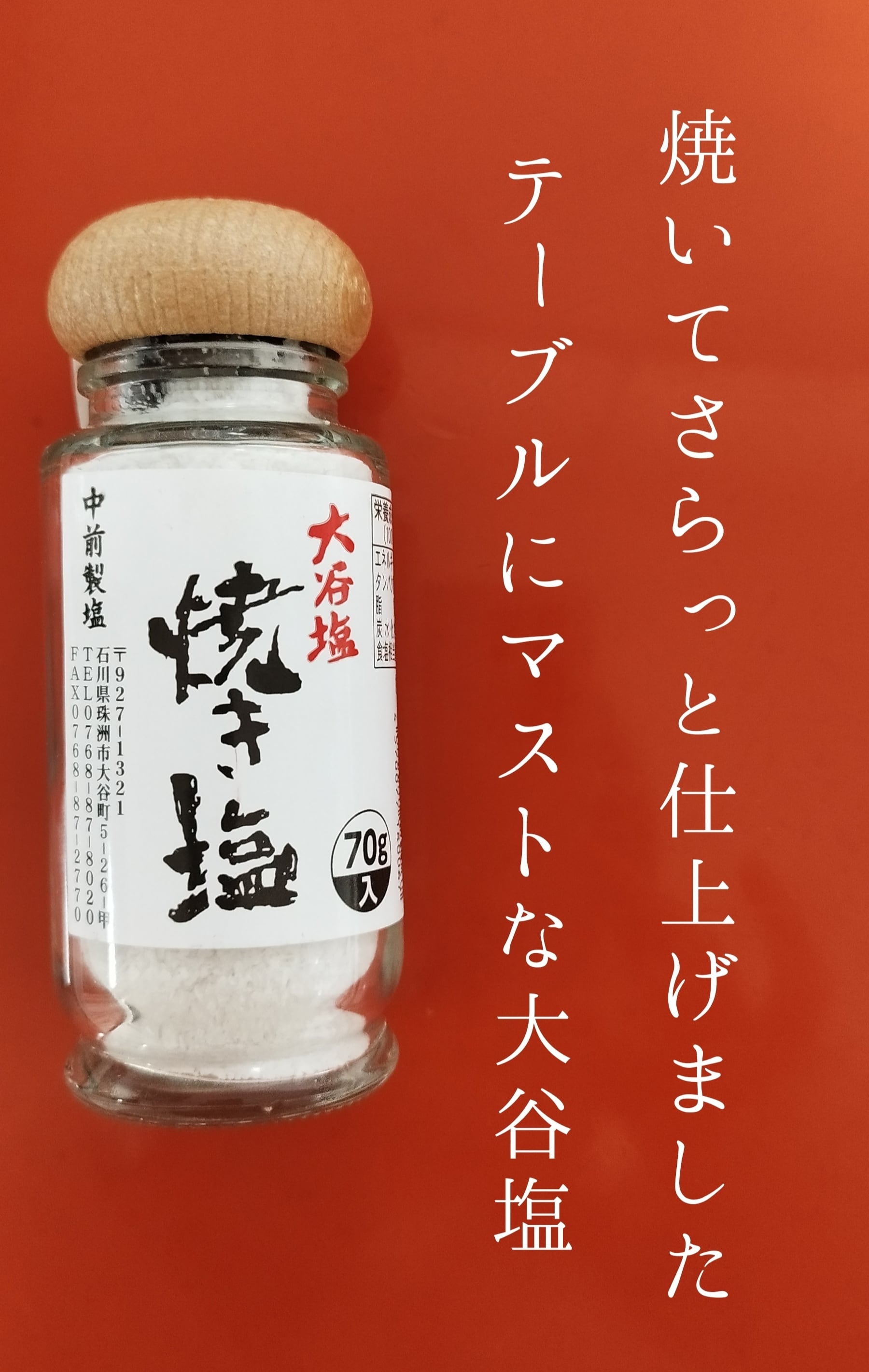 奥能登揚げ浜塩 50g×8個 【公式通販】