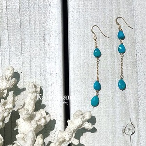 Sleepingbeauty turquoise  Earrings