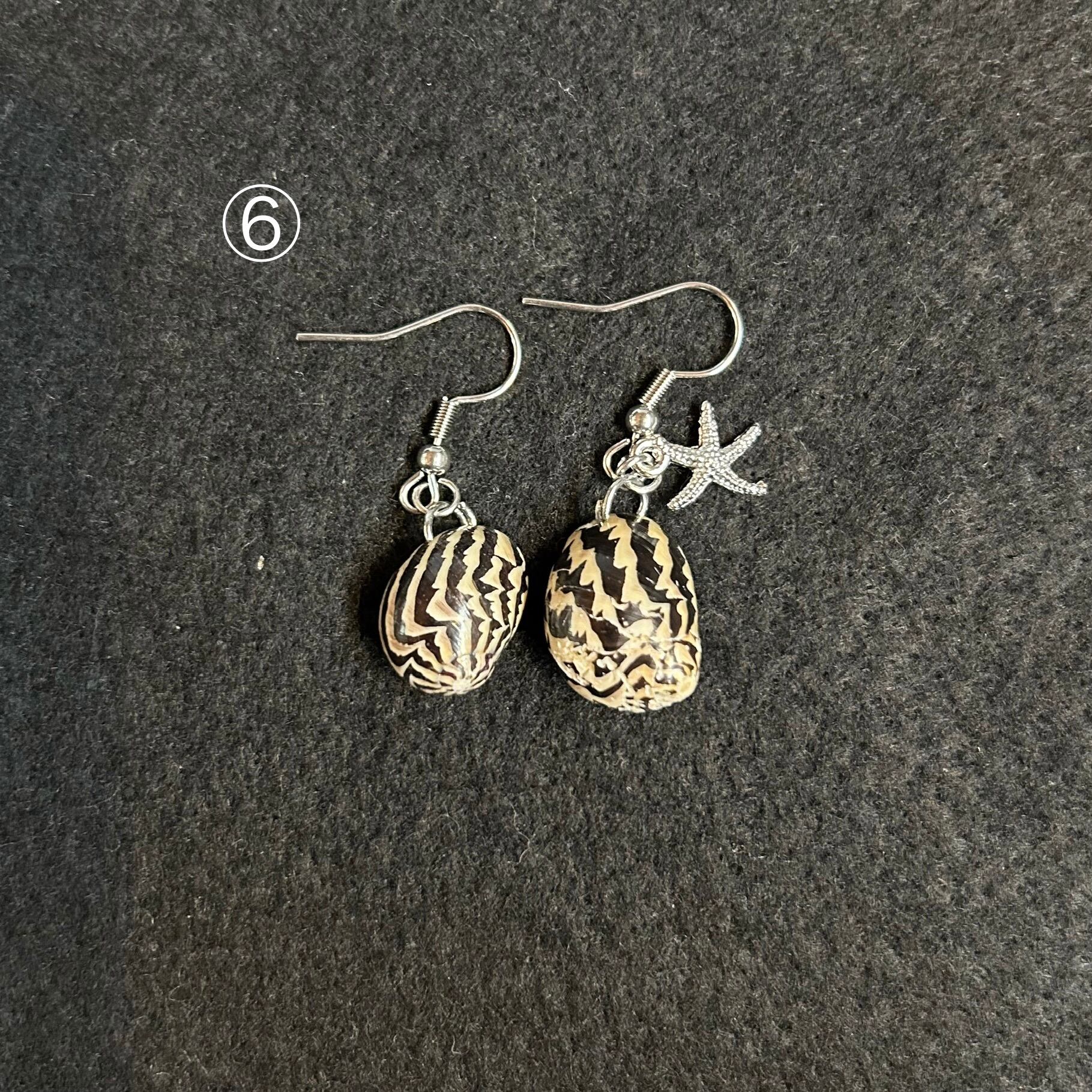 貝殻イアリング＆ピアス | 海の博物館ミュージアムショップ