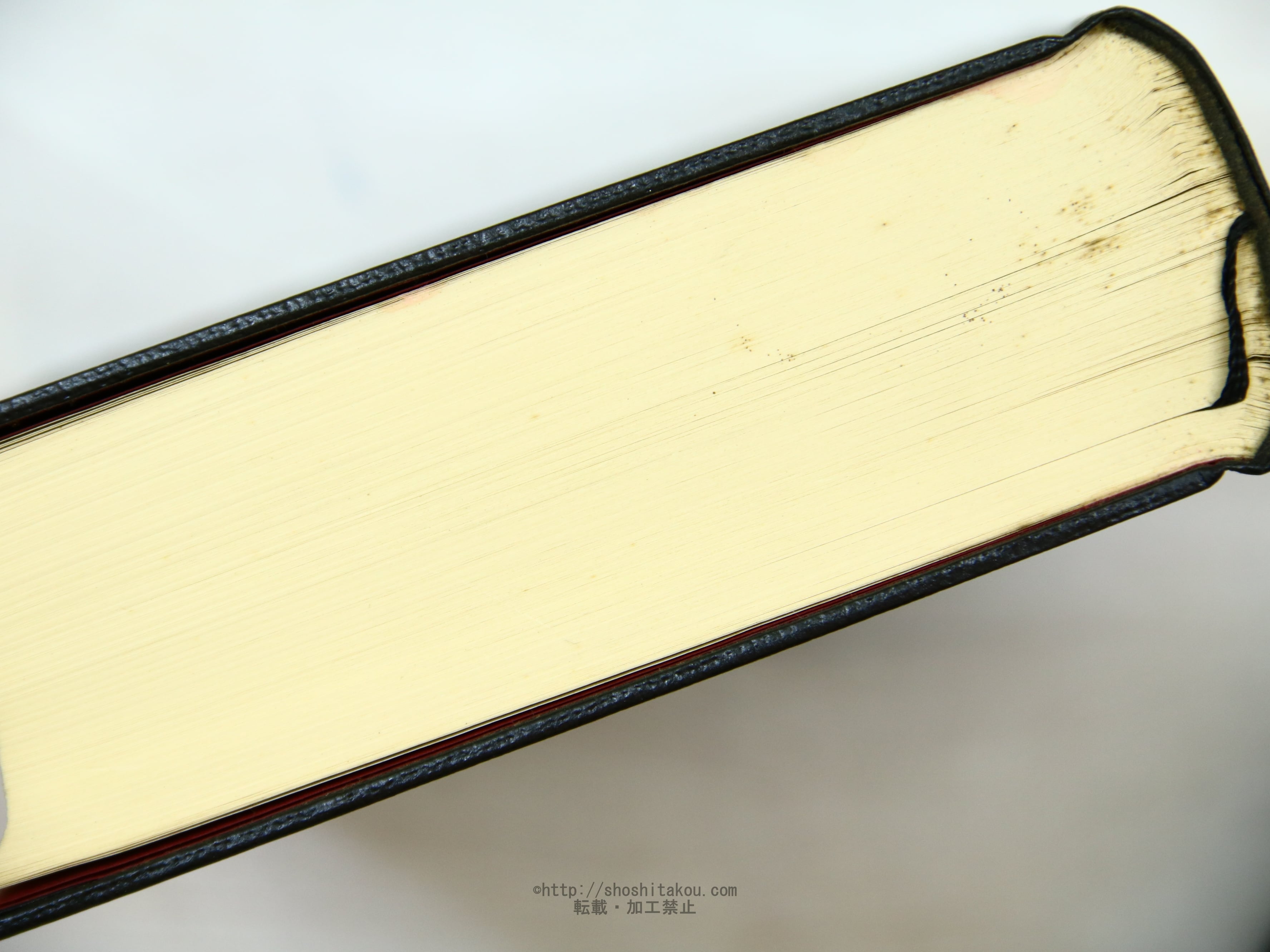 吸血鬼 ヴァンパイア / H.H.エーヴェルス 前川道介訳 [34213] | 書肆田高