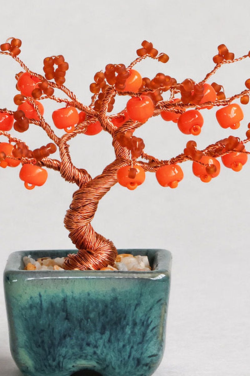 12 柿【nejitte盆栽】