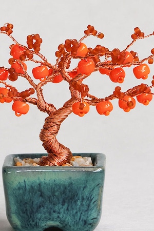 12 柿【nejitte盆栽】