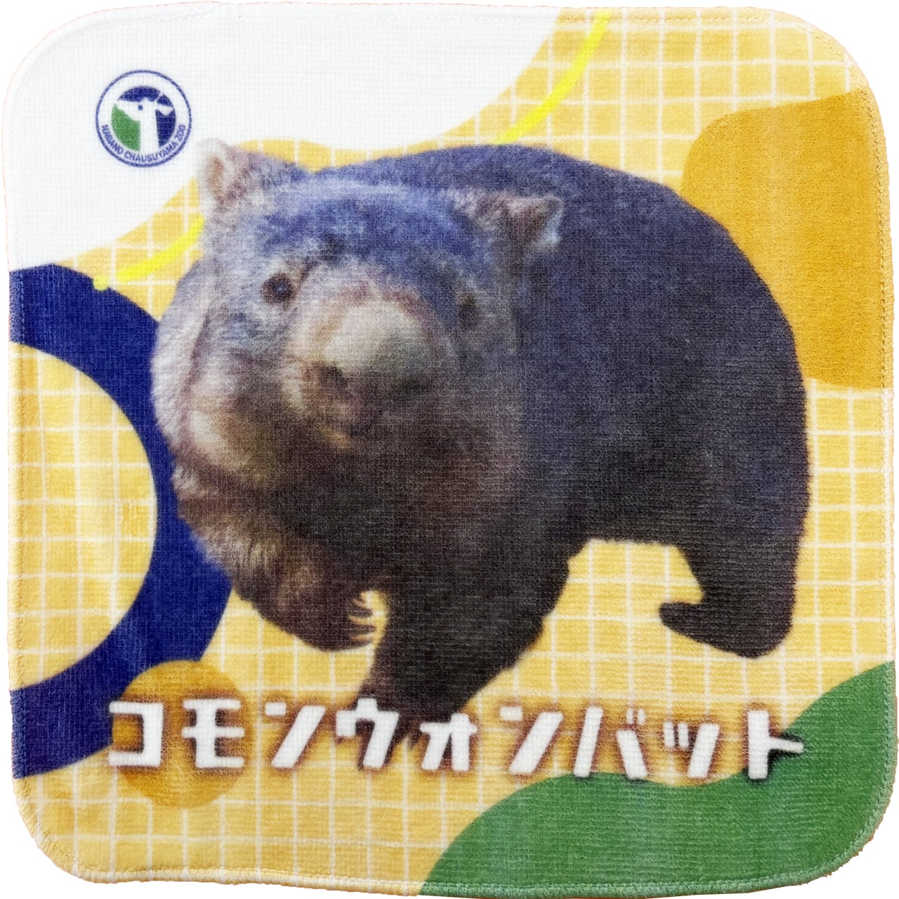 ALL ITEM | ZOOっとながの